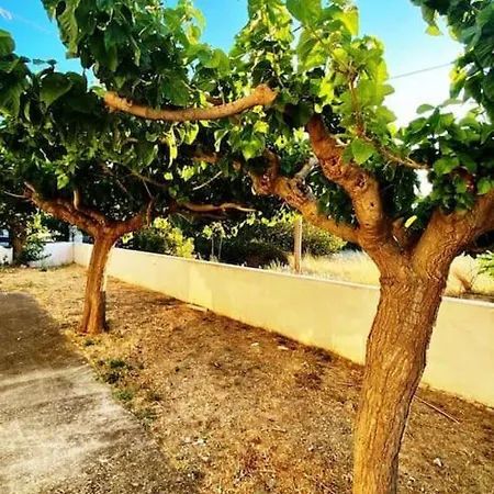 Apartamento Anastasias *
